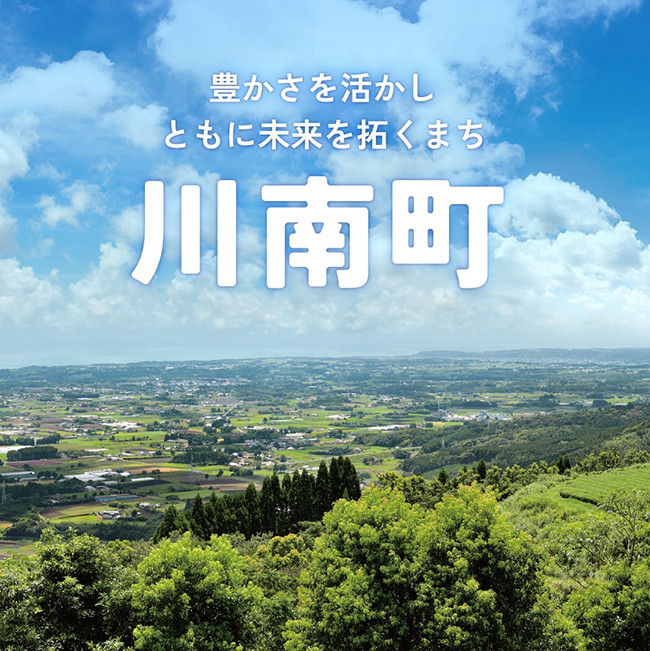 宮崎県産豚肉 しゃぶしゃぶセット 3kg 肉 豚 豚肉