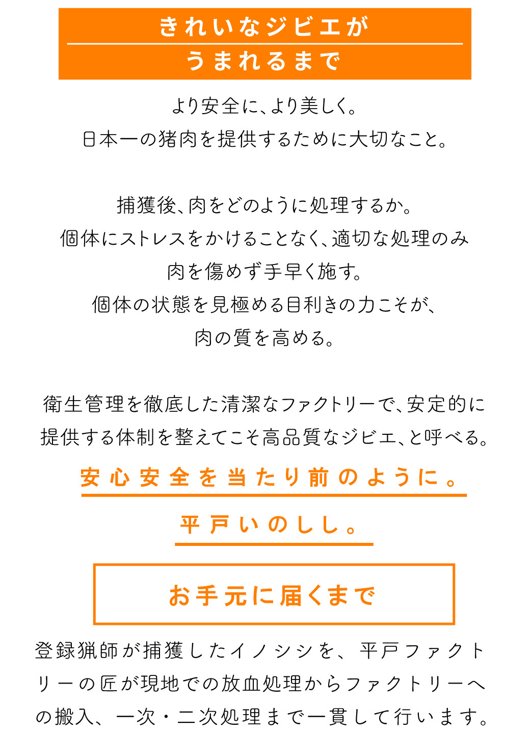 B422a ジビエ 平戸いのしし モモブロック肉 (1kg) 猪肉 人気 天然 イノシシ肉 ジビエ肉 もも肉 BBQ 焼肉 角煮 唐揚げ ロースト ジビエカレー