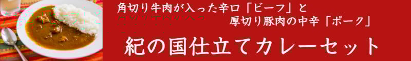 紀の国仕立てカレー【金山寺味噌】10個セット(A1019-1)