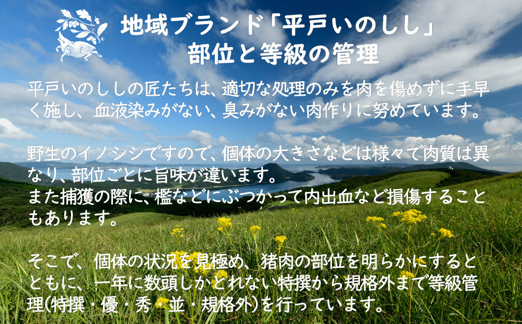 B422a ジビエ 平戸いのしし モモブロック肉 (1kg) 猪肉 人気 天然 イノシシ肉 ジビエ肉 もも肉 BBQ 焼肉 角煮 唐揚げ ロースト ジビエカレー
