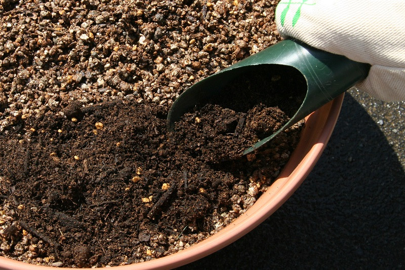 a12-170　観葉植物栽培資材セット 肥料 液肥 園芸