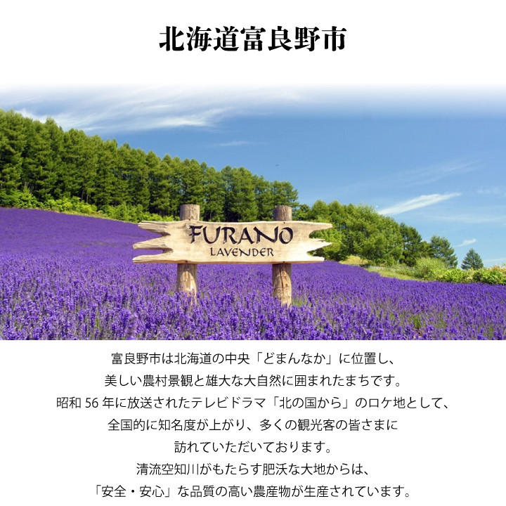 <ふらの満喫セット>ふらのワインとふらのチーズ2種セット_ ワイン 赤 白 飲み比べ アルコール 国産 お酒 国産ワイン チーズ ふらのワイン おつまみ グルメ 高級 厳選 ギフト プレゼント 贈り物 送料無料 【1254491】