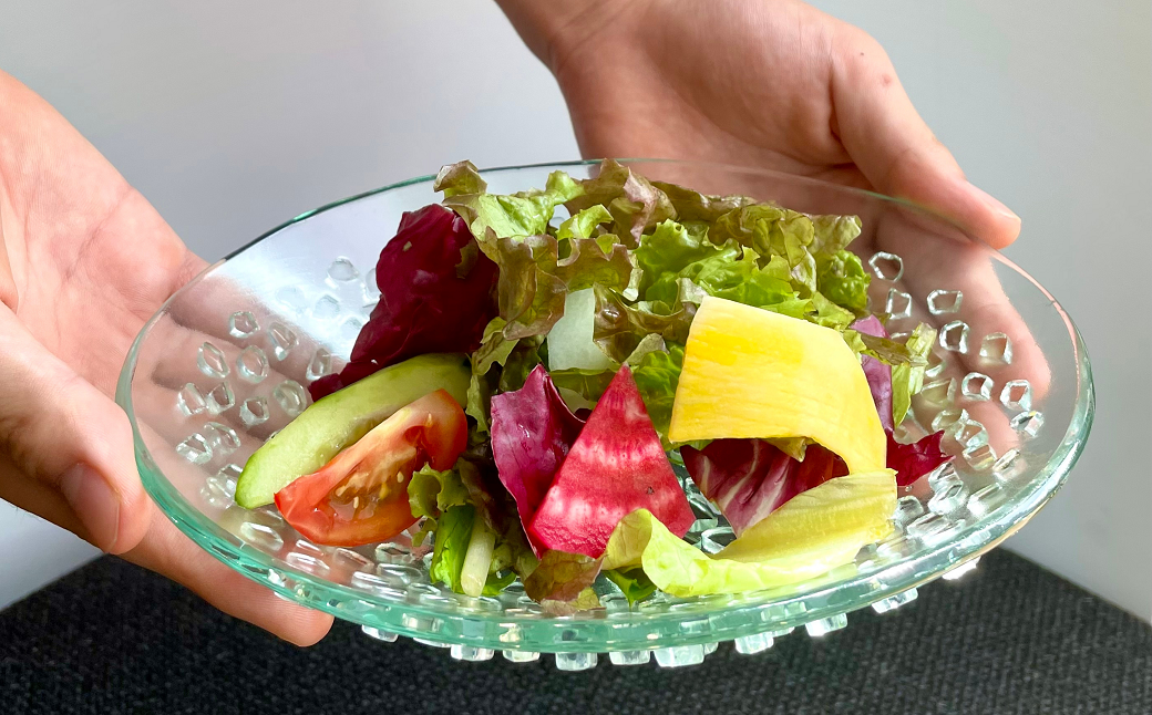 食器 お皿 「フリット楕円浅鉢 (S)」 皿 ガラス ミラーズウサ 愛媛県西条市