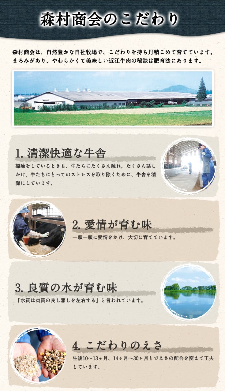 【PRキャンペーン対象】【特別企画・数量限定】【12月16日以降に年内発送】特選近江牛焼肉(ロース)800g【冷凍】【森村商会】【L008W1】