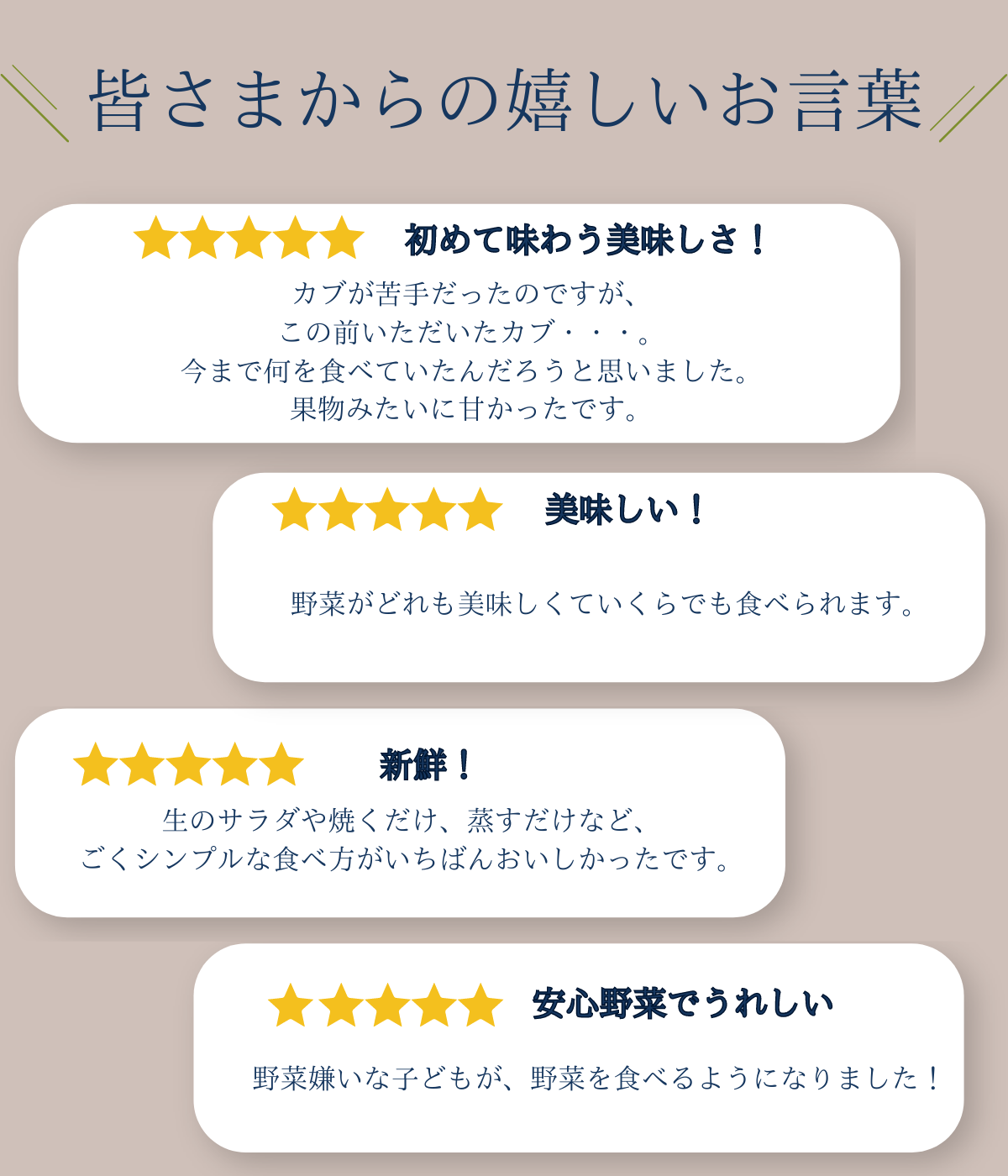 のらくら農場のこだわり玉ねぎ4.5kg［NK-117-01］