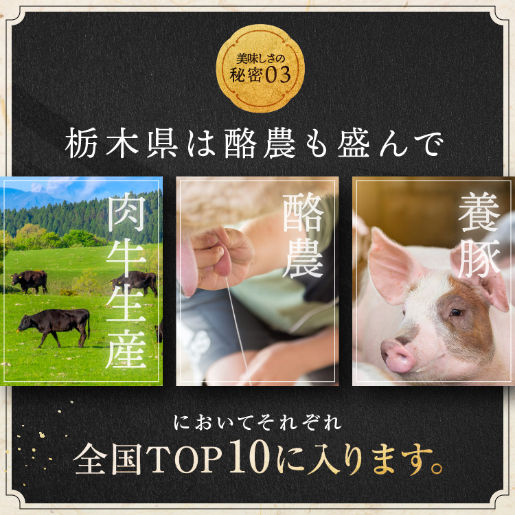 訳あり【定期便12回】とちぎ和牛 すき焼き・しゃぶしゃぶ用 切り落とし 250g | 栃木県共通返礼品 ご褒美 プレゼント 贈答 おいしい 和牛 肉 おにく 特別 人気 お取り寄せ 栃木県 真岡市