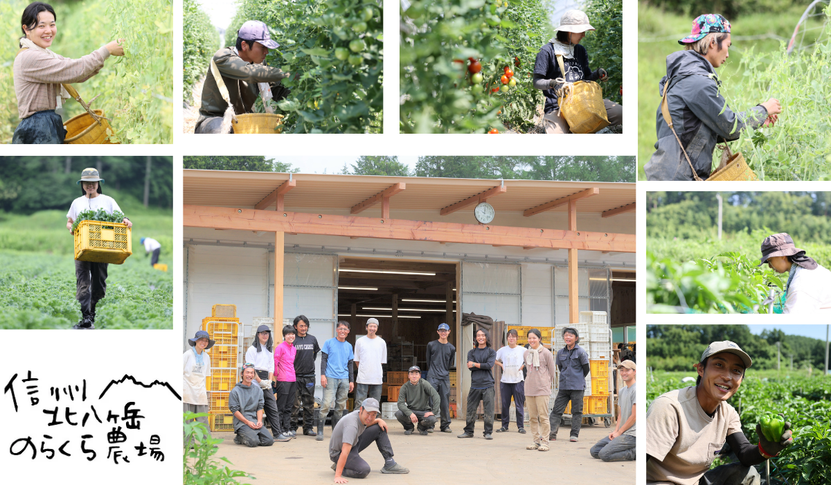 のらくら農場のこだわり玉ねぎ4.5kg［NK-117-01］