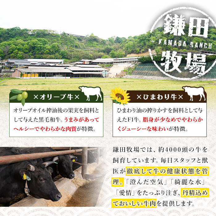 〈数量限定〉香川県産 ひまわり牛切り落とし (400g) 国産 牛肉 お肉 牛 赤身 霜降り 切り落し 冷凍 【man147】【カワイ】