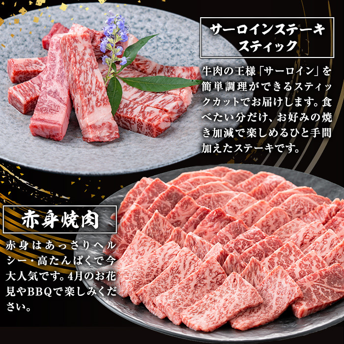 ＜定期便・全4回＞カミチク お試し黒毛和牛定期便 国産 鹿児島県産 黒毛和牛 【カミチク】T9-v01