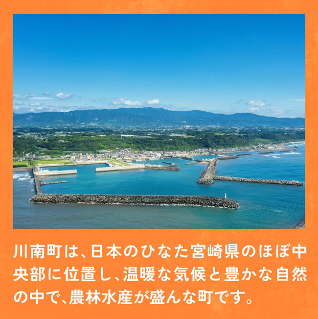 『Oh！宮崎　青汁』125ml×48本セット