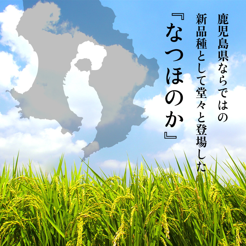 【精米】令和7年産新米 大崎産「なつほのか」20kg
