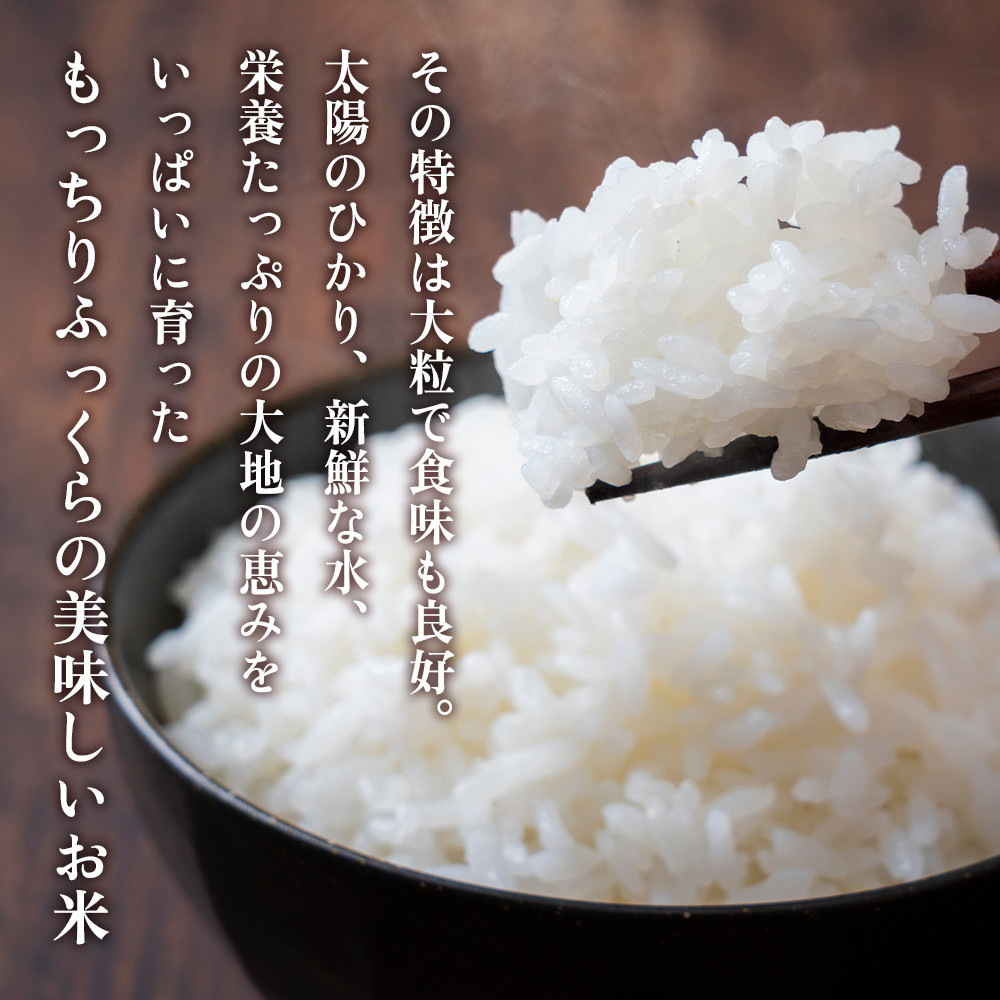 【精米】令和7年産新米 大崎産「なつほのか」20kg