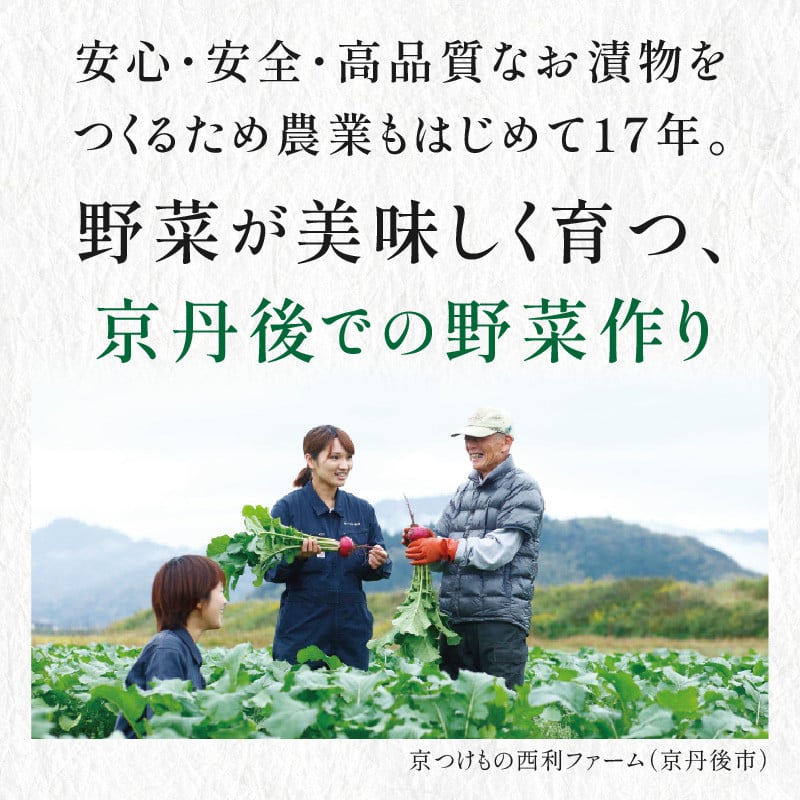 12月発送:【予約・秋冬限定】千枚漬、京のあっさり漬など、西利お勧めのお漬物 11点セット NS00043_12