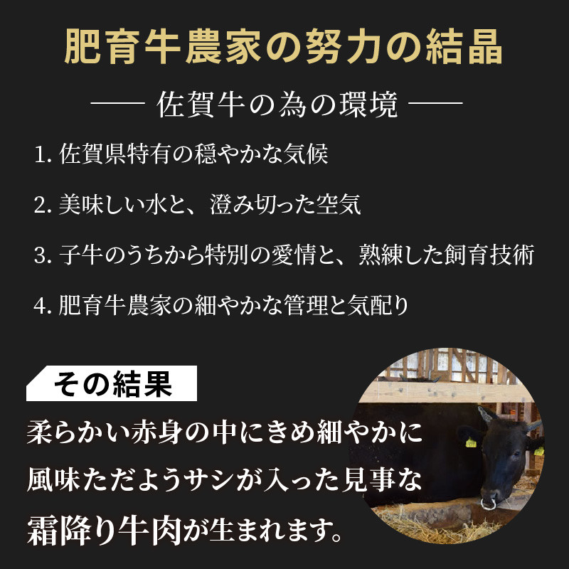 佐賀牛 ステーキ &スライス セット(1,700g) A5~A4 ランク すき焼き しゃぶしゃぶ 高級 部位 ブランド 牛 JAよりみち
