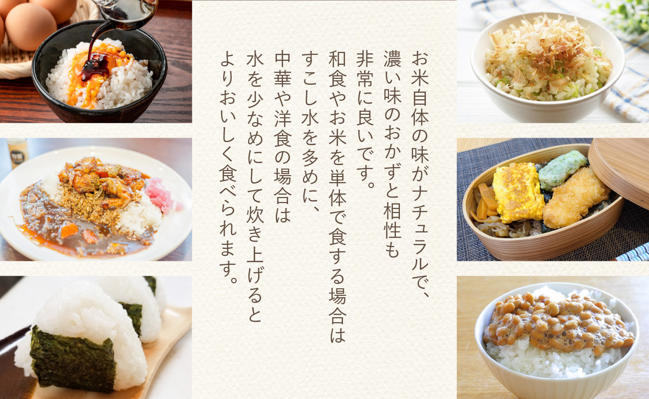 【定期便2か月】お米20kg（10kg×2回）特別栽培米 【053-26】