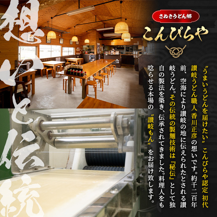 <容量が選べる> 半生『讃岐麺維新』(1袋×240g・つゆなし)【man277】【こんぴらや販売】