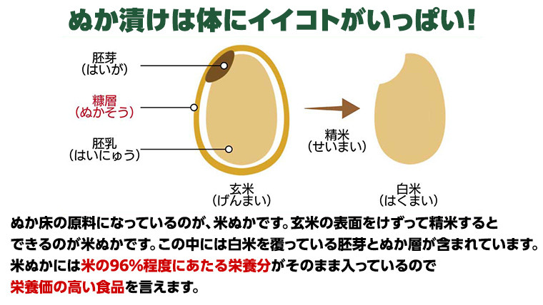 ミルキークィーン米 ぬか床 1.7kg ＆ ぬか漬け5種 セット ( SUGIDOCO 容器付き ) 米 お米 コメ こめ ミルキークイーン ぬか漬け ぬか ぬかどこ [BJ007ci]