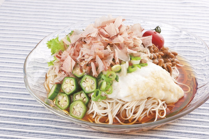 a12-113 枯本節 鰹節 駿河ふぶき ギフト (4g×8袋)×6袋