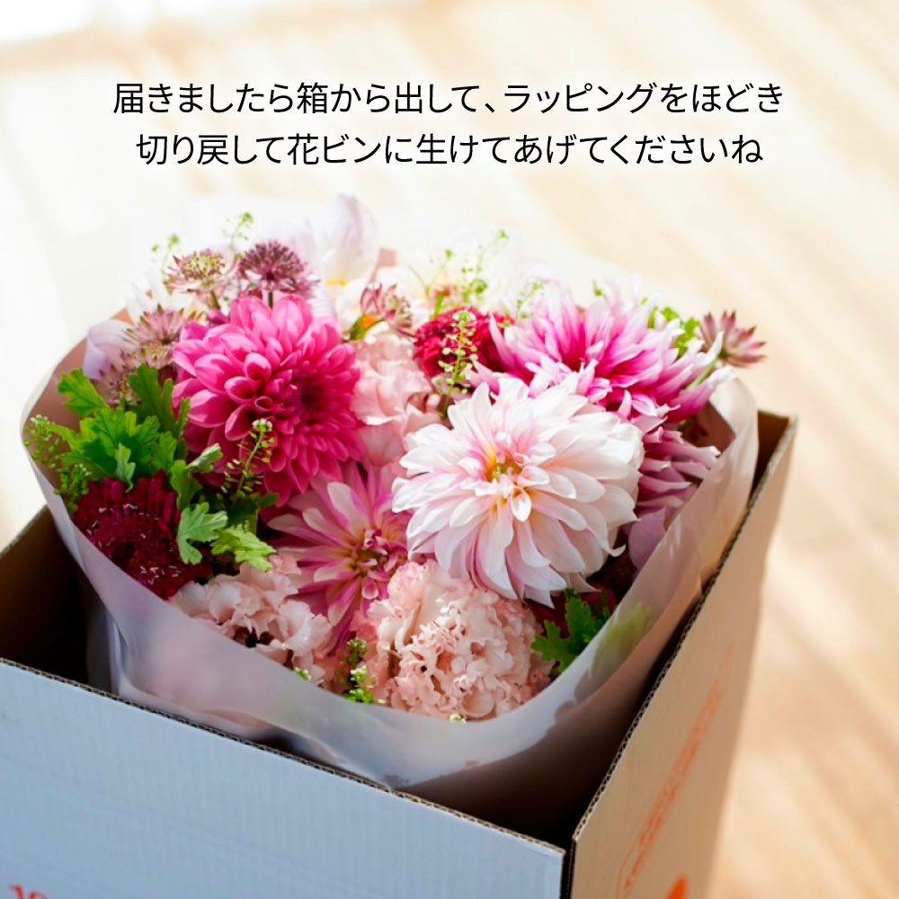 《12ヵ月定期便》生花花束 ブーケ 初回花瓶付M 定期便 定期コース 全12回 初回花瓶付き 延命剤付き 花びん 生花 花束 ブーケ 花 お花 可愛い キレイ おしゃれ 季節のお花 供花 お供え
