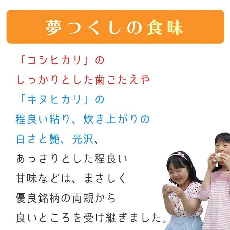 令和7年産 普通精米 福岡県産夢つくし 10kg_白米 5kg × 2袋 日本穀物検定協会主催 全国食味ランキング 4年連続 A評価 精米 九州 福岡 久留米 おにぎり ご飯 弁当 食品 食べ物 程よい甘み ツヤ 光沢 粘り 歯ごたえ 炊き上がりの白さ お取り寄せ 送料無料_Gr030