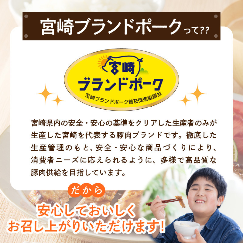 【宮崎ブランドポーク】豚バラ焼肉500g N061-YA0450