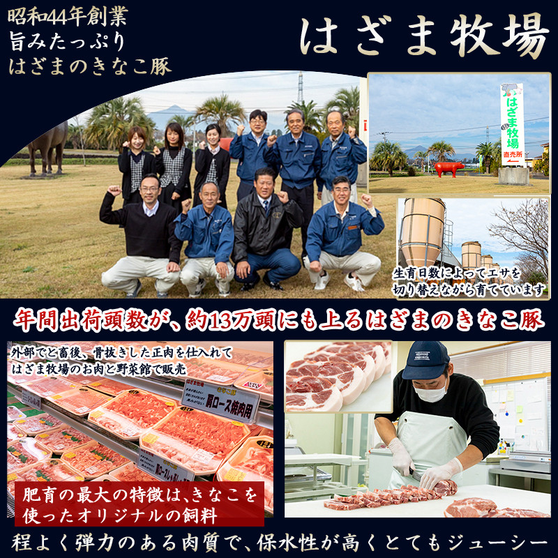 「きなこ豚」加工品Bセット_MJ-1209_(都城市) きなこ豚 ブランドポーク プレスハム ソーセージ 生ウインナー 味噌漬け ベーコン 生ハム 加工品 おかず 冷凍