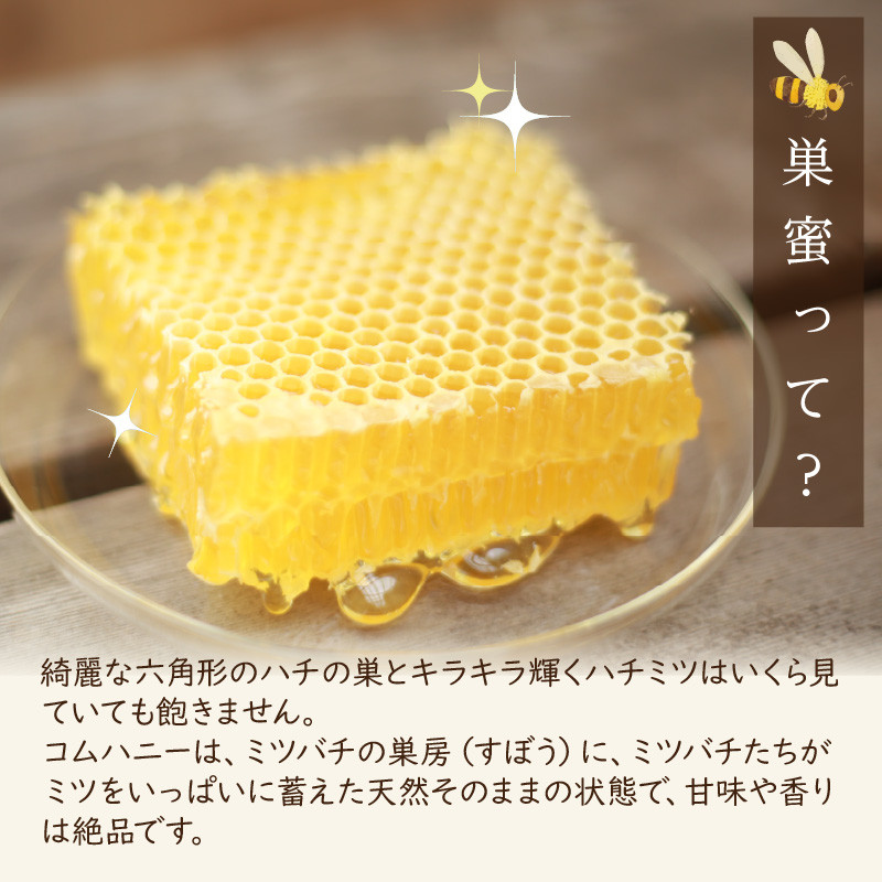 【国産 ハチミツ・巣密入り】KYOTOTANGOHONEY森の百花蜜純粋天然ハチミツ（巣蜜入り 純粋 天然ハチミツ１５０ｇ、純粋 天然ハチミツ１５０ｇセット）蜂蜜・はちみつ・国産・天然・ハチミツ・巣みつ・巣密・純粋はちみつ　RM00025
