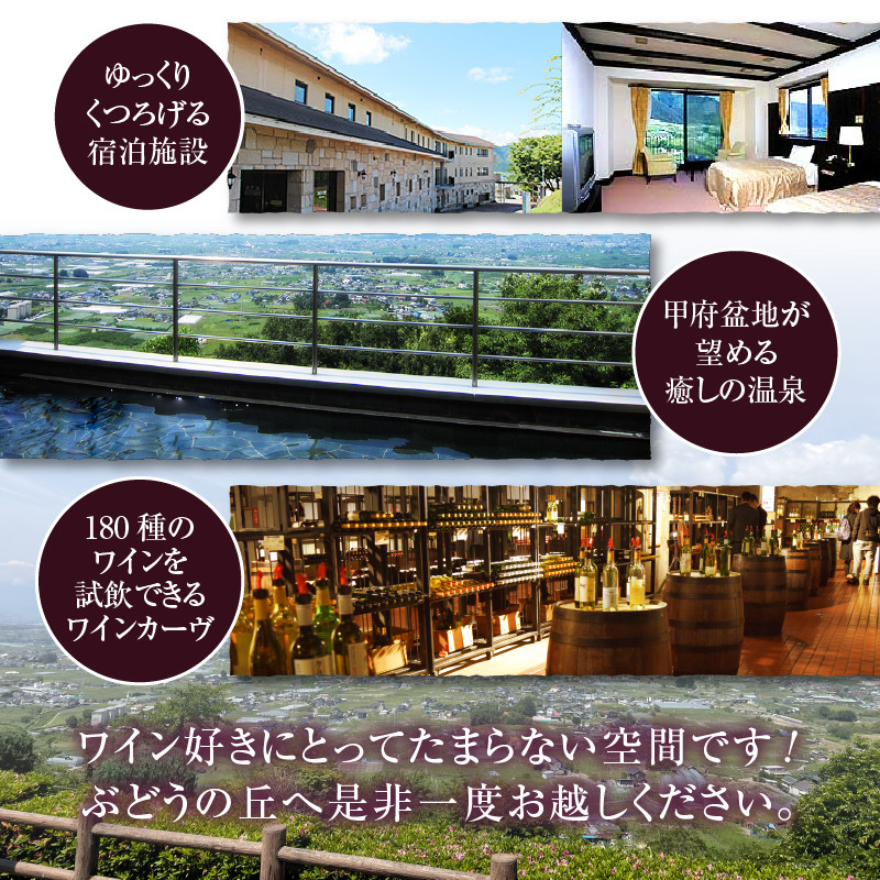 勝沼ぶどうの丘推奨 ロゼワイン1本（KBO）B-665