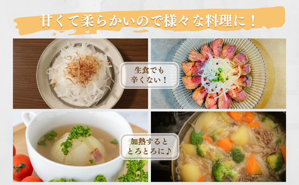 【新玉予約!】超極早生新玉葱「福寿玉ねぎ」5kg ★配送2月上旬~4月中旬