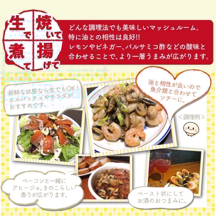 岩手県産 八幡平マッシュルーム1kg 色はおまかせ 3ヶ月定期便 / マッシュルーム きのこ 茸 キノコ 料理 生食 サラダ パスタ バーベキュー BBQ おつまみ つまみ 焼く 煮る 揚げる 調理 料理 スープ ソース お弁当 自宅用 家庭用 和食 洋食 おすすめ オススメ 【ジオファーム】