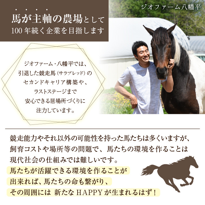 岩手県産 八幡平マッシュルーム1kg 色はおまかせ 3ヶ月定期便 / マッシュルーム きのこ 茸 キノコ 料理 生食 サラダ パスタ バーベキュー BBQ おつまみ つまみ 焼く 煮る 揚げる 調理 料理 スープ ソース お弁当 自宅用 家庭用 和食 洋食 おすすめ オススメ 【ジオファーム】