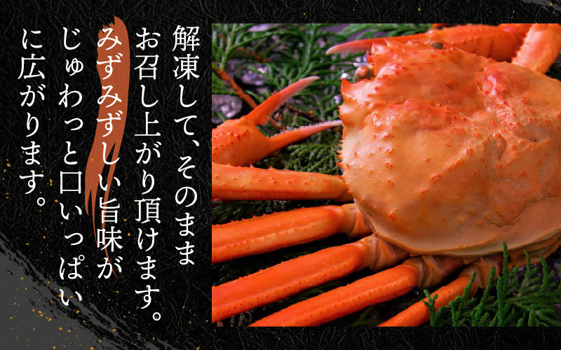 【先行予約】【12月発送】【数量限定】福井県産 越前紅ズワイガニ × 1杯 | ゆで蟹 紅ズワイガニ カニ ズワイガニ 紅ずわいがに かに 紅ズワイガニ カニ ズワイガニ 紅ずわいがに かに 紅ズワイガニ カニ ズワイガニ 紅ずわいがに かに カニ ズワイガニ 紅ずわいがに 紅ズワイガニ カニ ズワイガニ 紅ずわいがに かに カニ 冷蔵 チルド 北陸 ゆで蟹  かにみそ かに鍋 かにしゃぶ ボイル