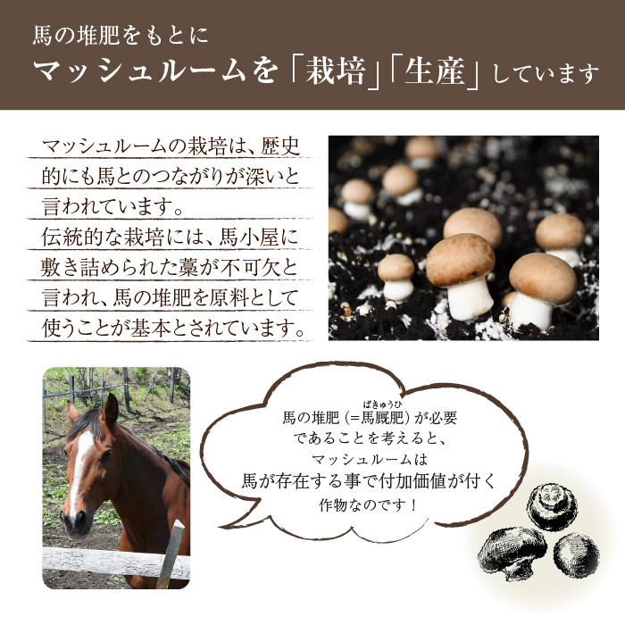 岩手県産 八幡平マッシュルーム1kg 色はおまかせ 3ヶ月定期便 / マッシュルーム きのこ 茸 キノコ 料理 生食 サラダ パスタ バーベキュー BBQ おつまみ つまみ 焼く 煮る 揚げる 調理 料理 スープ ソース お弁当 自宅用 家庭用 和食 洋食 おすすめ オススメ 【ジオファーム】