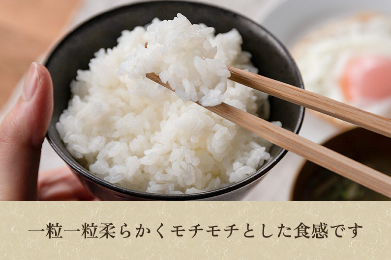 【令和7年産】新潟産ミルキークイーン「ミルキー米」特別栽培米 精米10kg（5kg×2袋） 白米真空パック 加茂市 織原農園