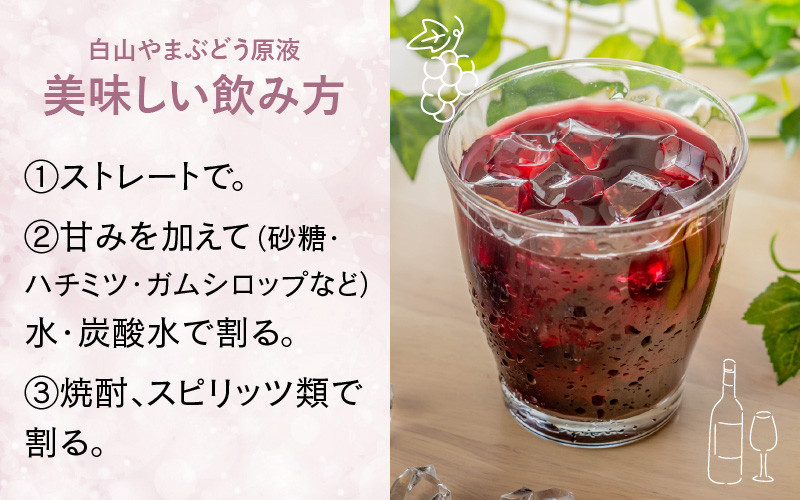 【白山ワイナリー】白山やまぶどう原液&ジャム2種セット