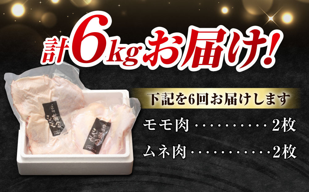 【6回定期便 】信州黄金シャモモモ・ムネ肉セット　合計約1kg｜グランドチャンピオン地鶏 軍鶏 鶏肉 冷蔵