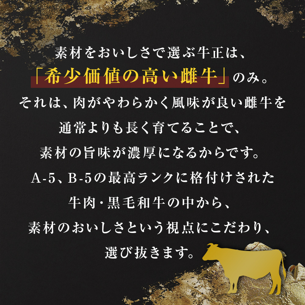 仙台牛サーロインステーキ 2枚×250g