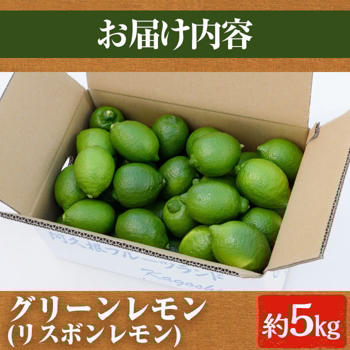 数量限定!リスボングリーンレモン(5kg)国産 果実 果物 リスボンレモン フルーツ 檸檬 柑橘 デザート 期間限定【桐野柑橘株式会社】akn070-14