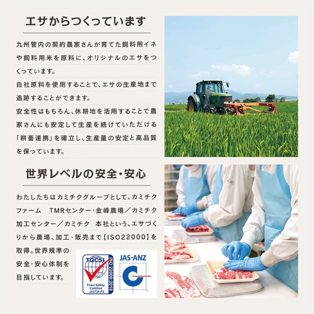 【定期便 全12回】情熱牧場 鹿児島県産お肉の定期便 スタンダードコース お肉 ステーキ すき焼き しゃぶしゃぶ A5等級 黒毛和牛 牛肉 豚肉 焼肉 定期便 冷凍 カミチク