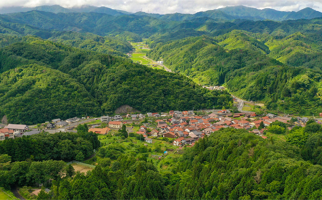 玉鋼 カトラリーセット(ナイフ/フォーク/スプーン)  島根県雲南市/株式会社たなべたたらの里（奥出雲前綿屋　鐵泉堂） 食器 カトラリー セット [AIAV013]