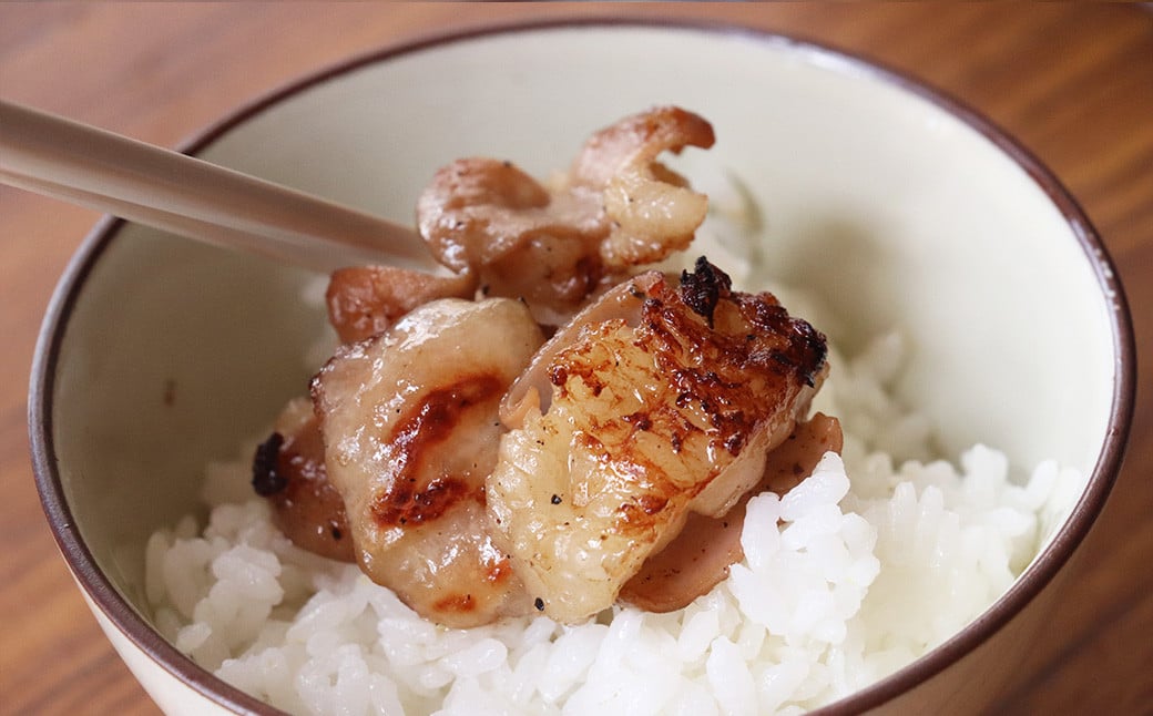 【年内順次発送】飛騨産和牛ホルモン 塩味 210g×4袋 【冷凍】年内配送 年内発送 年内に届く 年内お届け 牛肉 牛ホルモン しお味 天狗 味付き 味付け アウトドア バーベキュー