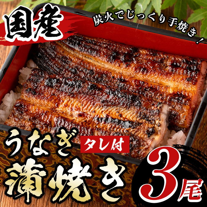 A01 国産！うなぎ蒲焼き(3尾・タレ付き) 国産 九州産 鹿児島県 宮崎県 鰻 ウナギ unagi うな重 うな丼 ひつまぶし うなじゅう 蒲焼 かばやき 無頭 魚 魚介類 土用 丑の日 タレ タレ付 おかず 惣菜 冷蔵 特産品 お土産 ギフト プレゼント ご贈答 真空パック 湯煎 レンジ 簡単調理 内容量選べる 尾数選べる えらべる 【尾方屋】