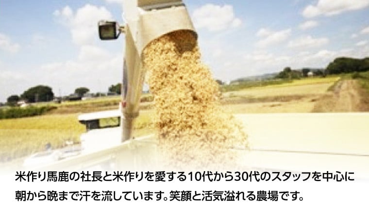 百笑米 の 華麗舞 使用！ もろみ酢 （ 720ml × 12本 ） 健康 酢 クエン酸 アミノ酸 ギャバ GAVA [AC027ci]