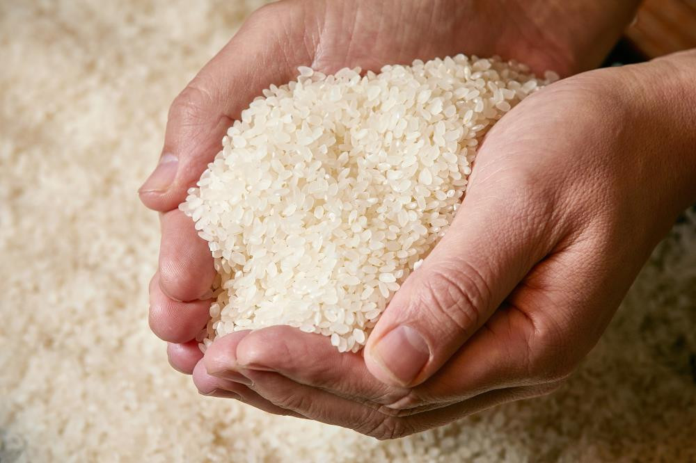 〈3ヶ月定期便〉【八代目儀兵衛】京の料亭米 新米予約 5kg｜京都 米料亭 五ツ星お米マイスター厳選 人気セット［ 銘店を虜にする贅沢米 ごちそうごはん グルメ 美食 おいしい 人気 おすすめ 米 コメ ギフト プレゼント 贈答 お取り寄せ 通販 送料無料 ふるさと納税 ］