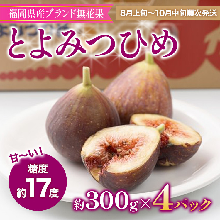 福岡県産ブランド無花果「とよみつひめ」(約300g×4パック)