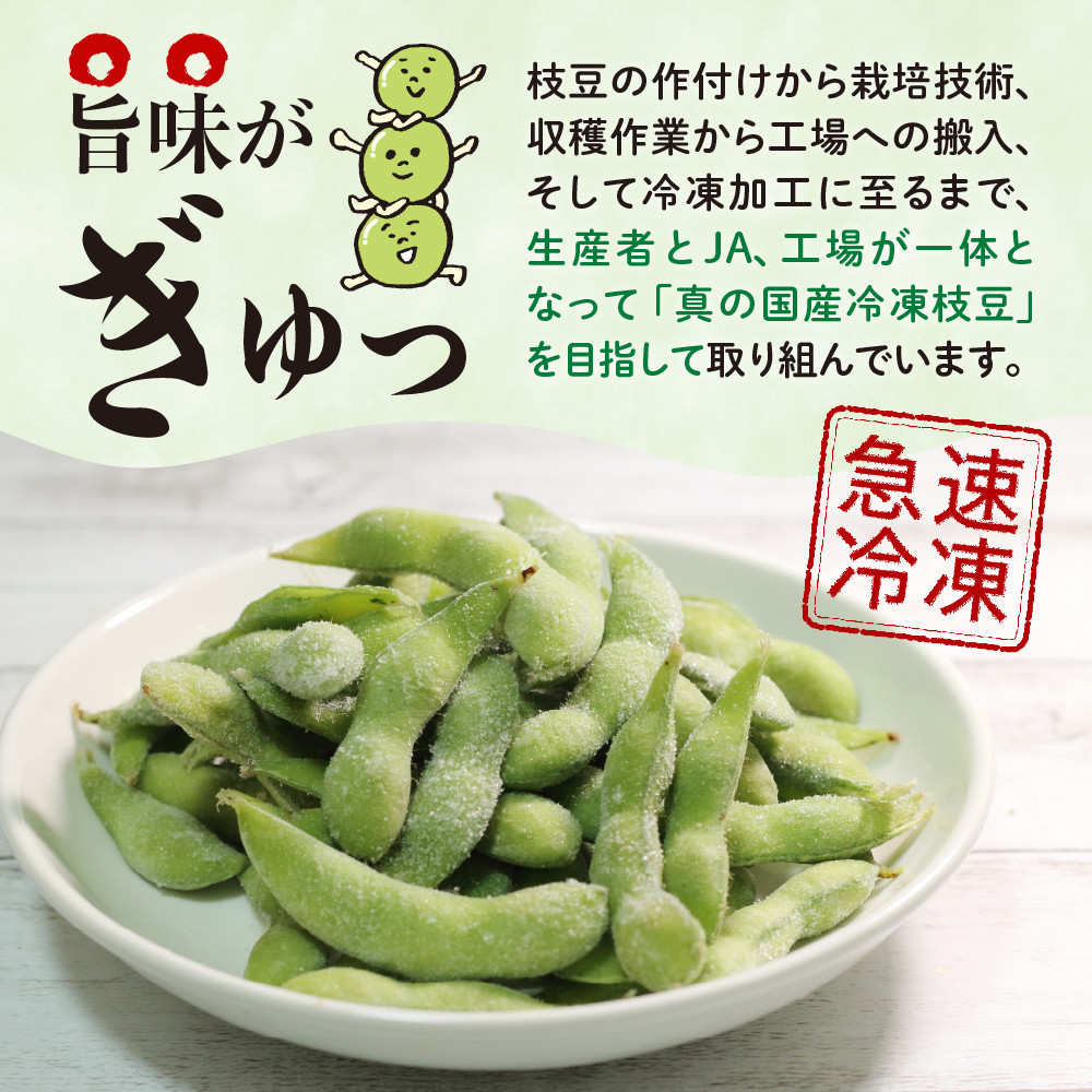 北海道十勝芽室町 えだまめ  300g×10袋 me003-003c