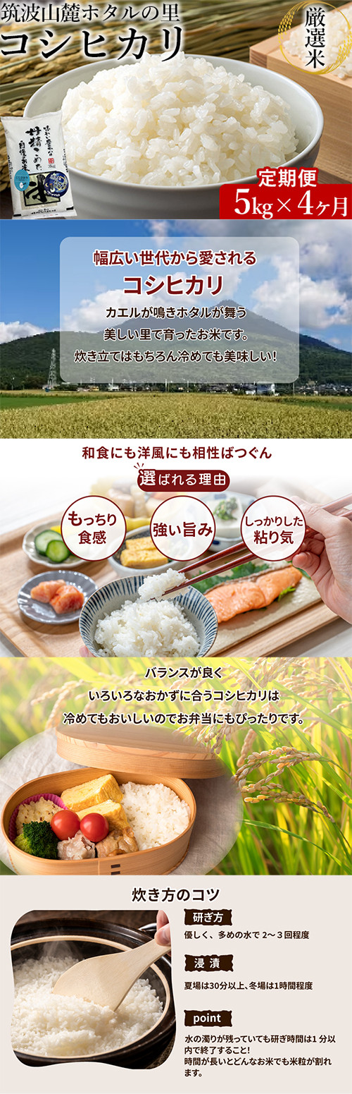 【定期便 4ヶ月】令和7年産 筑波山麓ホタルの里厳選米コシヒカリ5kg 透き通った大粒米 ※離島への配送不可 ※2025年10月下旬頃より順次発送予定