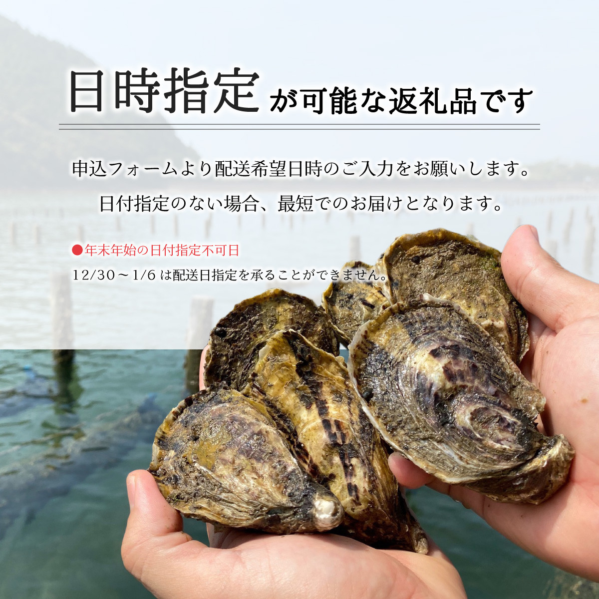 先行予約 あまべ牡蠣 22個 牡蠣 シングルシード 生食用 殻付き かき カキ オイスター 生ガキ 生牡蠣 生がき 生かき ギフト 貝 旨味  【2025年12月発送】