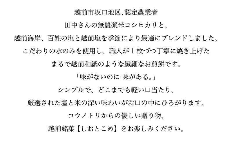 越前新銘菓 しおとこめ 48枚入り