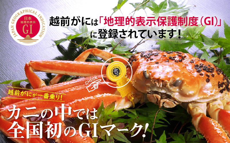 【訳あり】≪浜茹で≫ 越前がに 約900g～1.0kg × 1杯（茹で前重量）食べ方しおり付き【2月発送】【雄 ズワイガニ ずわいがに かに カニ 蟹 姿 ボイル 福井県】希望日指定可 備考欄に希望日をご記入ください [e04-x023_02]